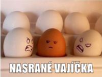 Nasrané vajíčka :) :D