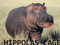 Hippolas cage :D