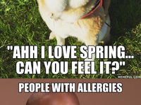 Alergia ... trpite alergiou teraz aj vy? :D