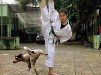 Karate dog! Failik ako svet :D