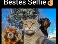 Top animal selfie!
