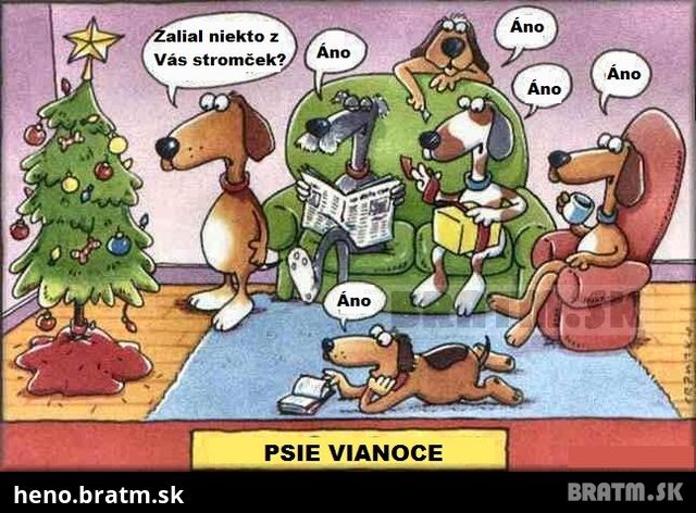 Psie Vianoce :D