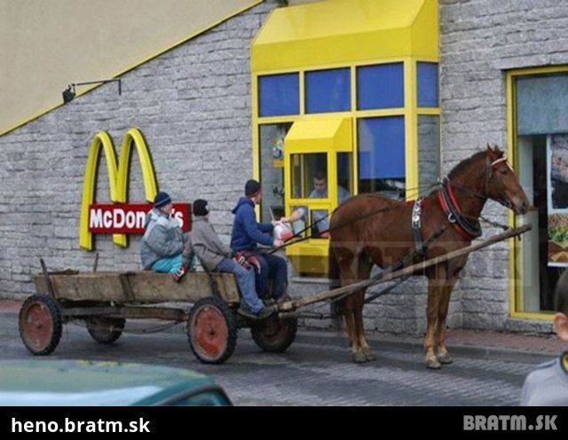 McDrive Horse :D