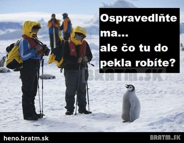 Čo tu do pekla robíte ? :D