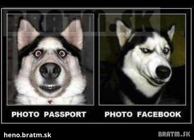 Aký je rozdiel medzi fotkou na FB a v pase?:D