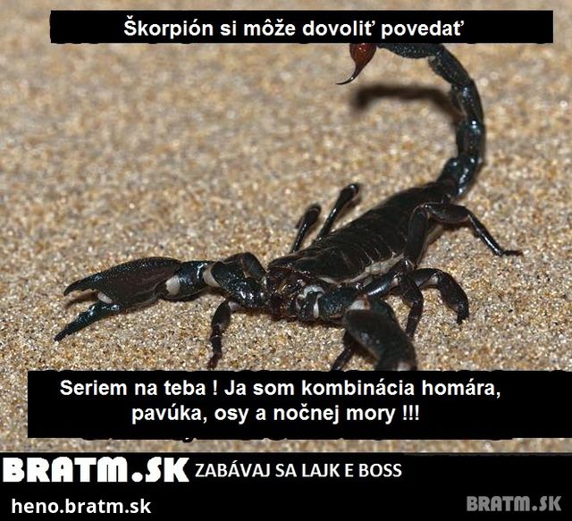 Škorpión je pán, on si to môže dovoliť povedať :D