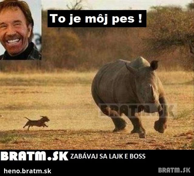 Chuck Norris a jeho pes :D