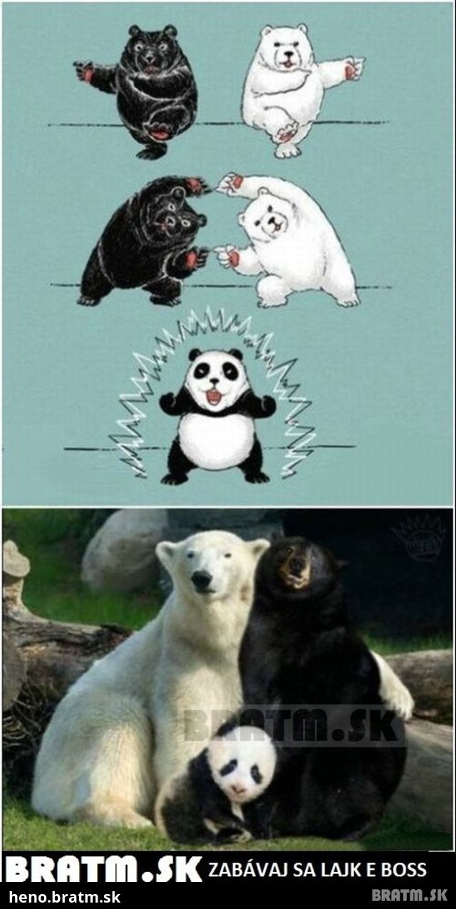 Takto sa robí panda :D