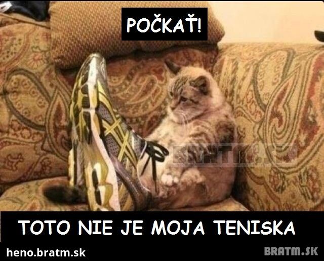 Počkať... toto nie je moja teniska :D