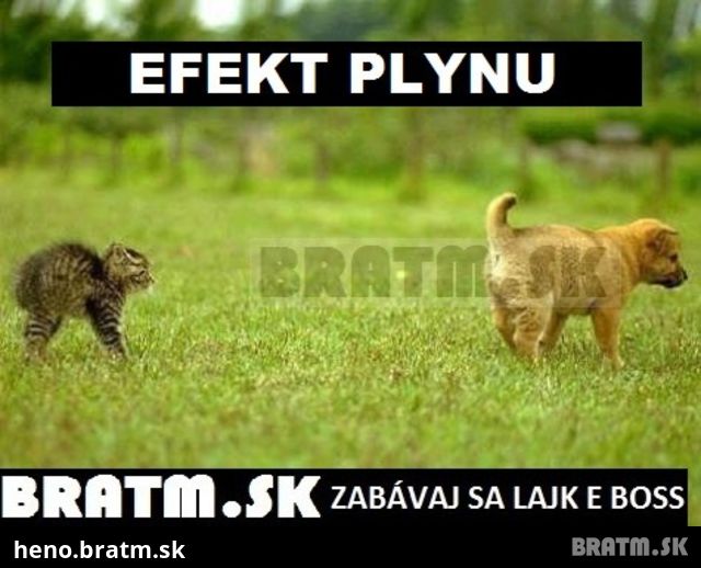 Tomuto sa povie efekt plynu :D