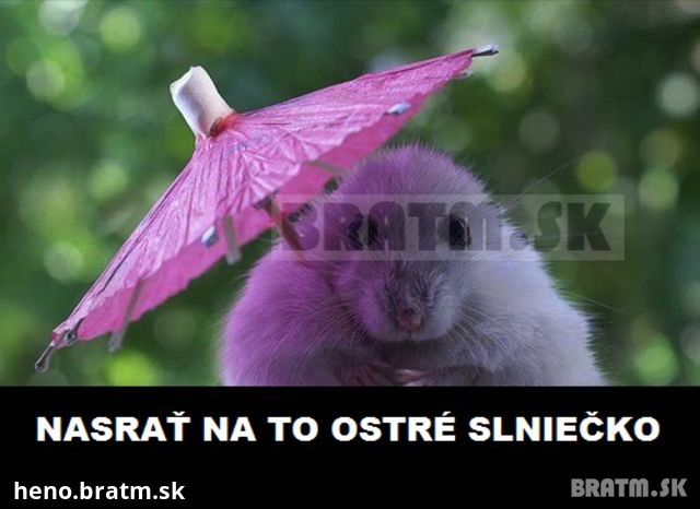 Ostré slnko? no problem :D