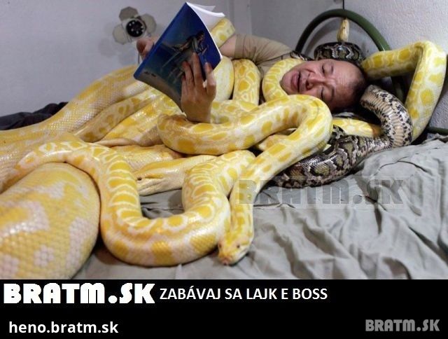 Tak detičky, teraz vám prečítam rozprávku na dobrú noc :D