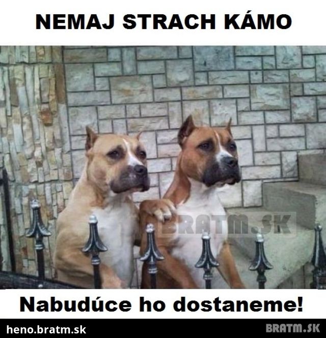 Nemaj strach kámo, nabudúce ho dostaneme :D