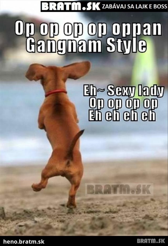 Gangnam style v podaní krásneho psíka :D