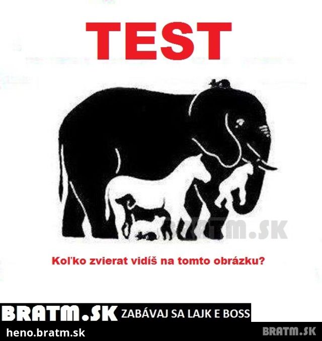 TEST ! koľko zvierat vidíte na obrázku ? :)