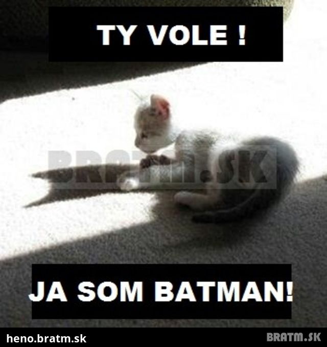 Podarená batman číííča :)