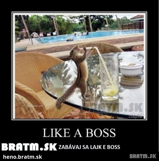 LIKE A BOSS :)))