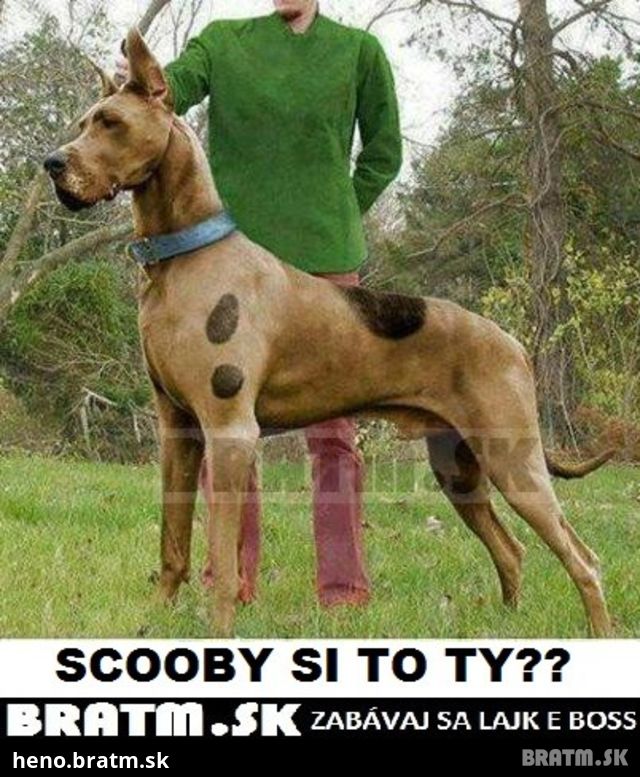 Je to naozaj SCOOBY ? :) :)