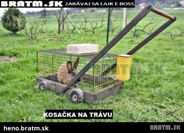 Čo by ste povedali na takúto kosačku ? :D