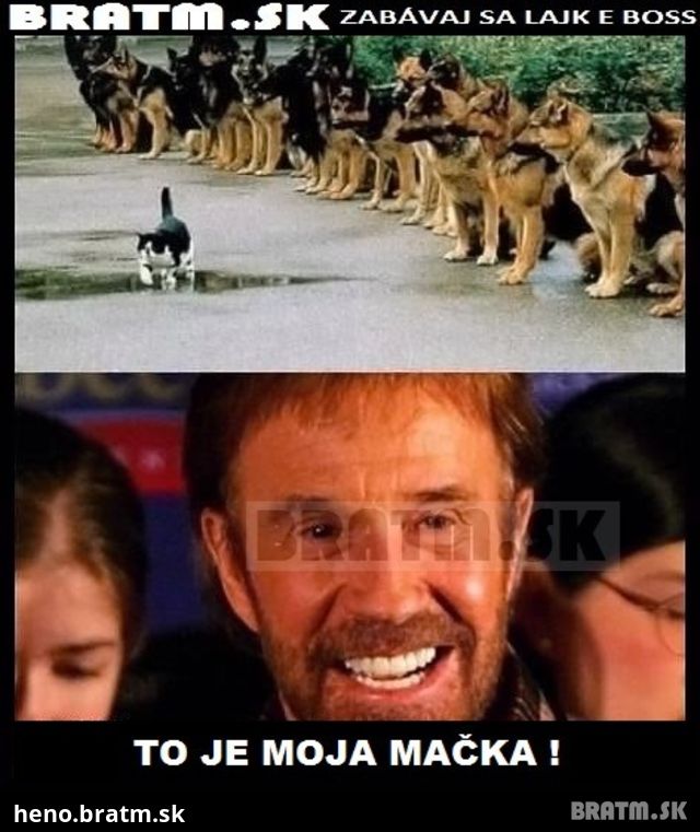 Chuck a jeho mačka :D