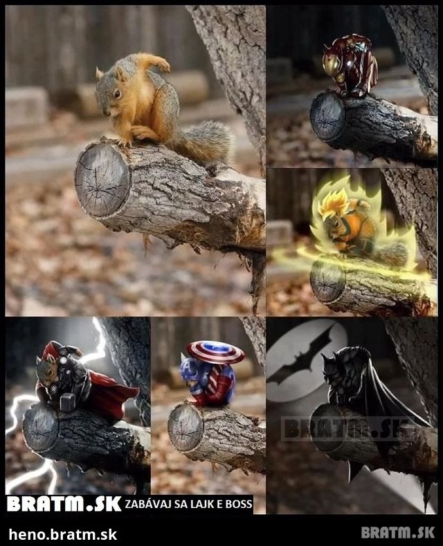 Aj medzi veveričkami sa nájde hrdina :D