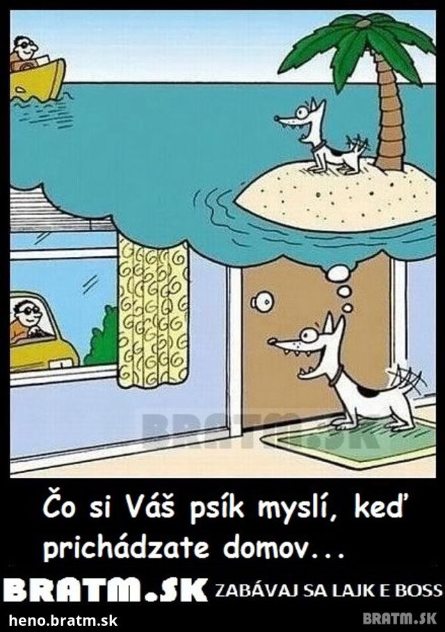 Čo si myslí váš psík :)