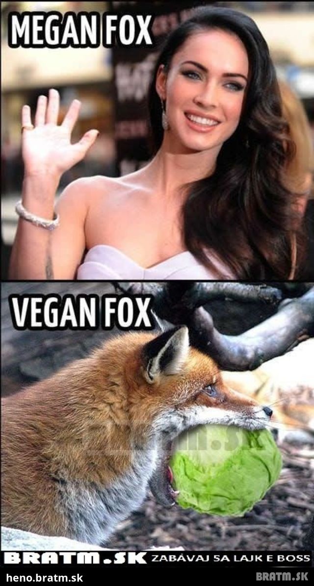 Megan Fox vs. Vegan Fox :D
