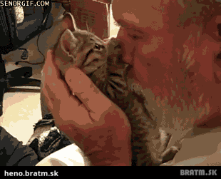 BRATM GIF: Jeeej...roztomilé mačiatko :)