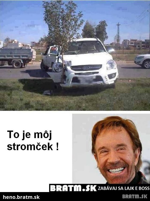 Chuck Norris a jeho stromček :D