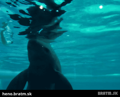 BRATM GIF: Zábava vo vode :D