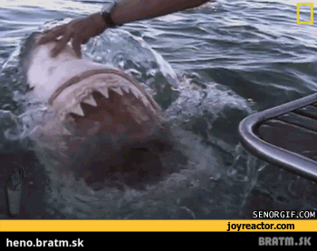 BRATM GIF : Žralok útočí :D