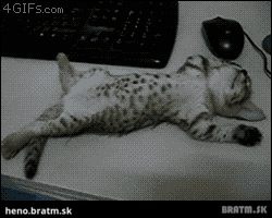 BRATM GIF: Jeej! nádherne spiace mačiatko :D