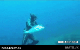 BRATM GIF: Nechaj mi tú rybu, tá je moja ! :D