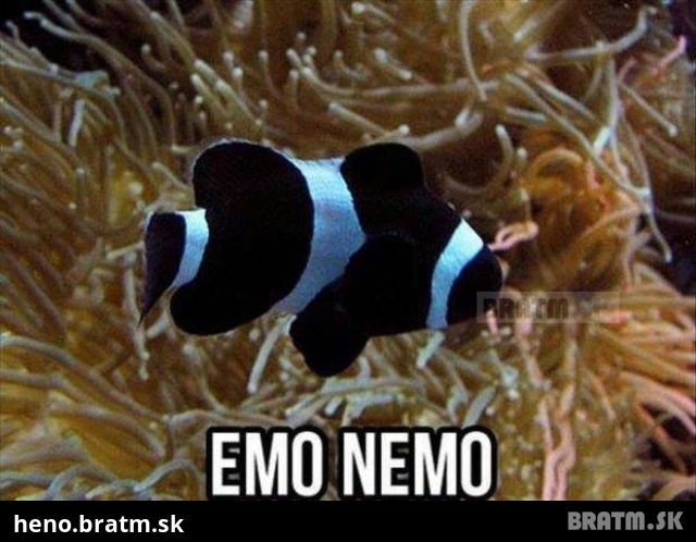 Emo Nemo :D :D :D