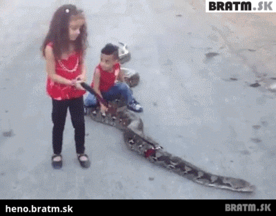 BRATM GIF: Venčenie hada :D