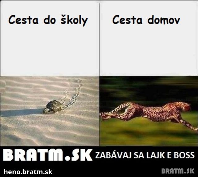 FOTO: Naše putovanie do školy a zo školy :D:D:D