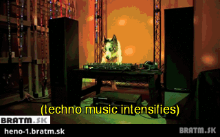 BRATM GIF: Psia techno party :D