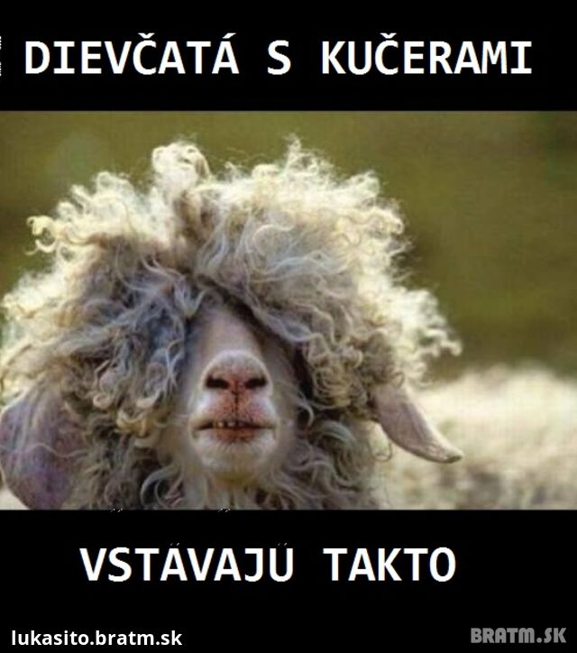 Toto pozná každé dievča s kučeravými vlasmi :D