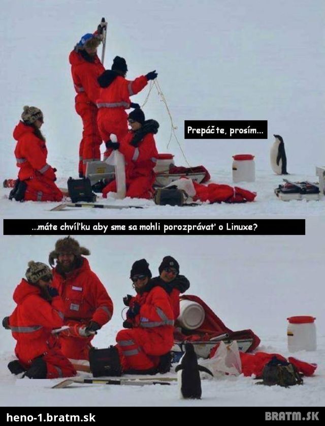 O čom sa chcú baviť tučniaci :D