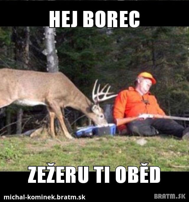 jelen žere oběd