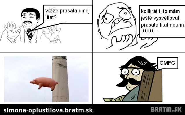 prase umí látat