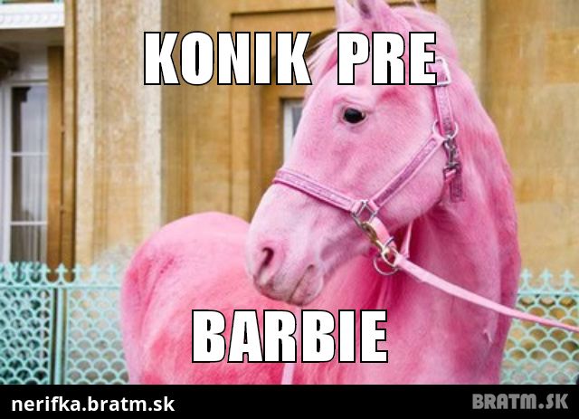 konik