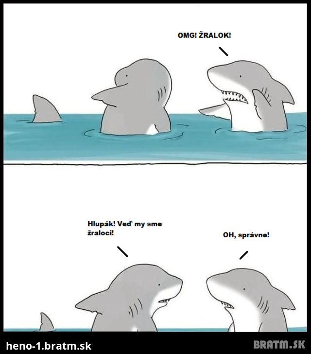 Ako môže vyzerať žraločí fail :D