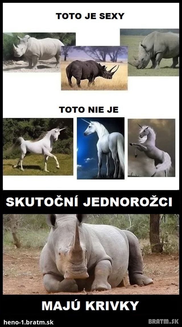 Zisti aj ty, čo by mali mať skutoční jednorožci :D