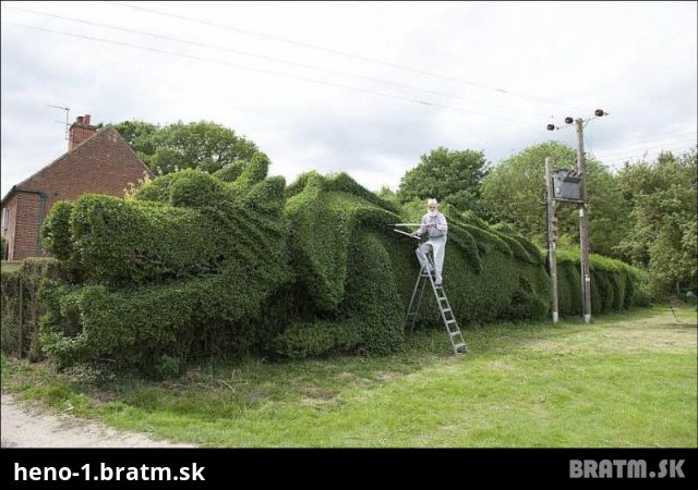 Pozrite si tohoto pána a jeho záhradné umelecké dielo :)