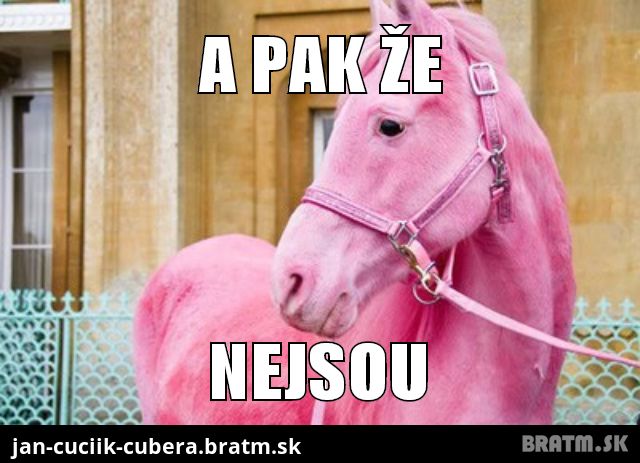 :D Prej