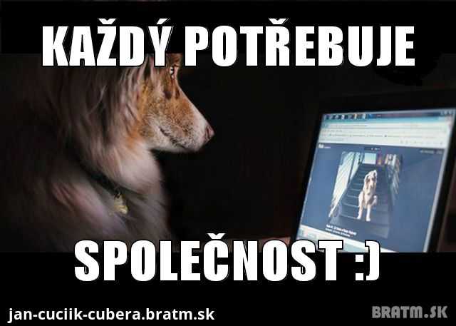 :) Asi tak