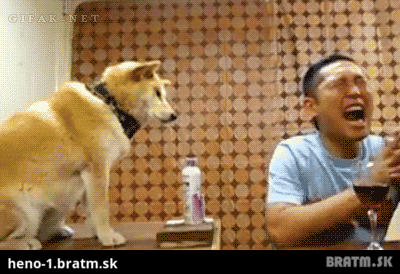 BRATM GIF: LOL :D Pes asistent :D
