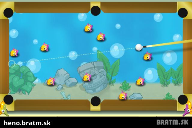 Aquarium Pool