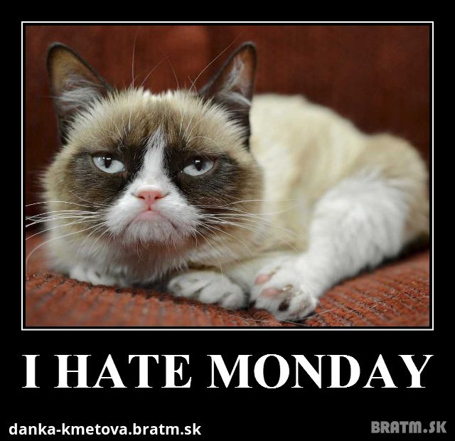 Neznasam pondelok